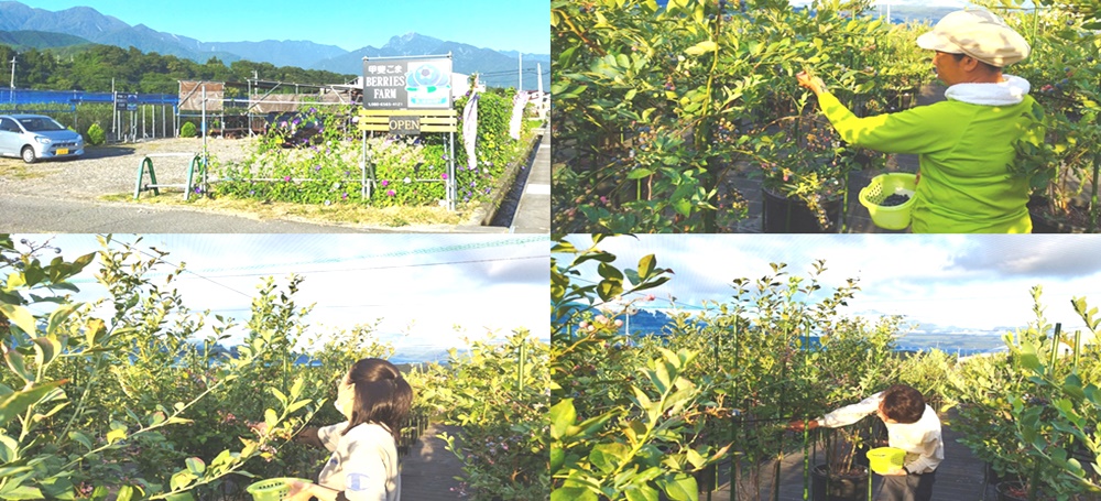 甲斐駒ヶ岳(雪少々)