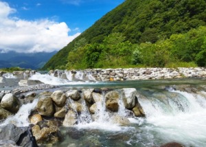 ブルーベリー農園近くにある夏の清流