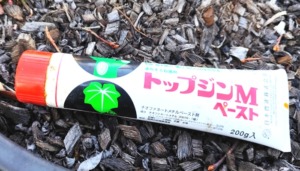 ブルーベリー剪定後に使うゆ合剤