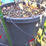 獣害の画像です。困ったもんです。