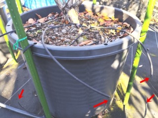 獣害の画像です。困ったもんです。