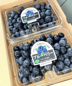 ハイブッシュ・ブルーベリーの荷姿２パック