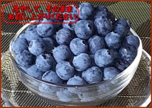 ブルーベリーの盛り合わせ。そのままお召し上がりください。